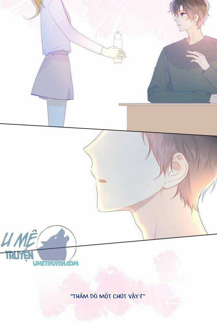 Ngôi Sao Cho Tôi Chapter 29 trang 12