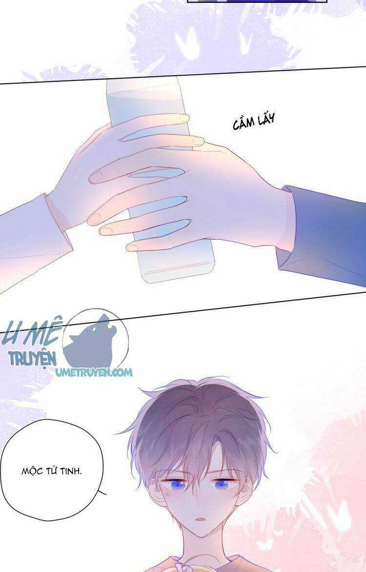 Ngôi Sao Cho Tôi Chapter 29 trang 14