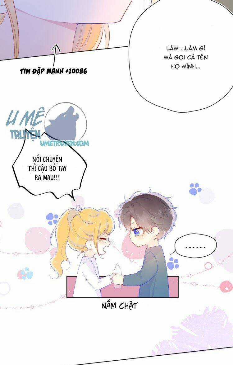 Ngôi Sao Cho Tôi Chapter 29 trang 16