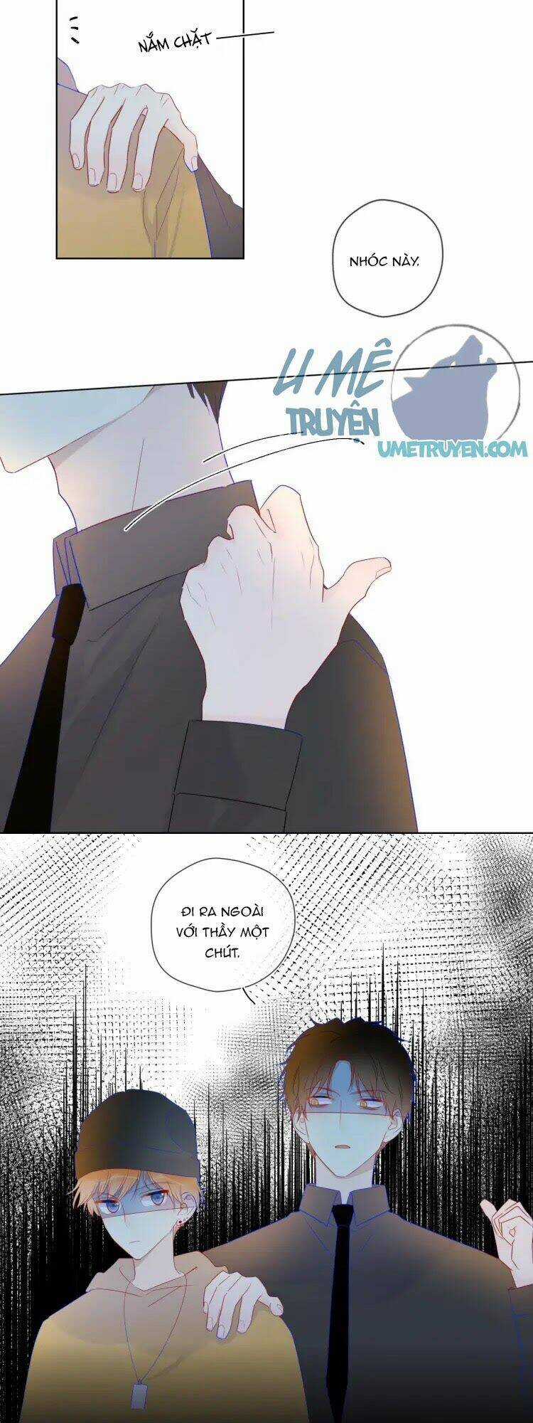 Ngôi Sao Cho Tôi Chapter 30 trang 11