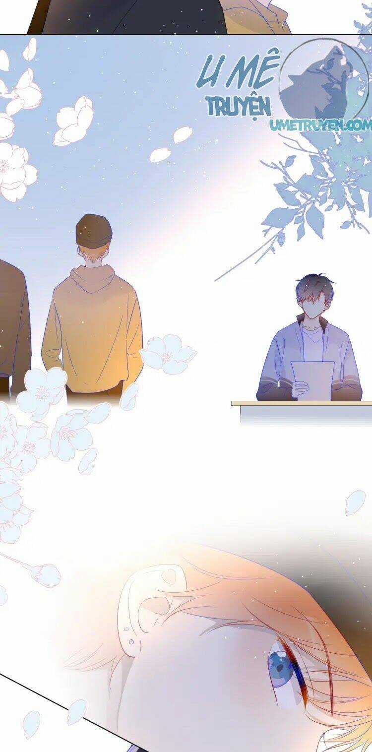 Ngôi Sao Cho Tôi Chapter 30 trang 13