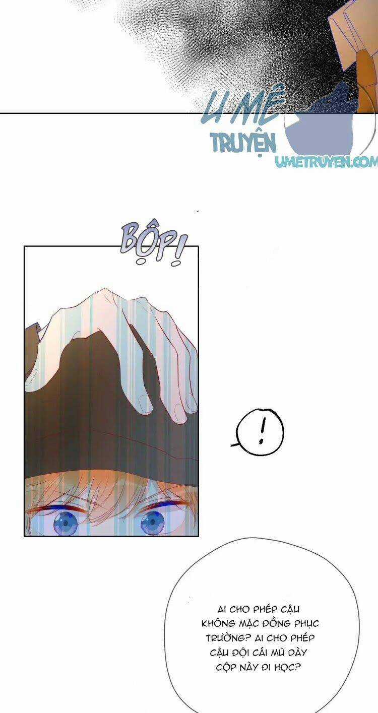 Ngôi Sao Cho Tôi Chapter 30 trang 3