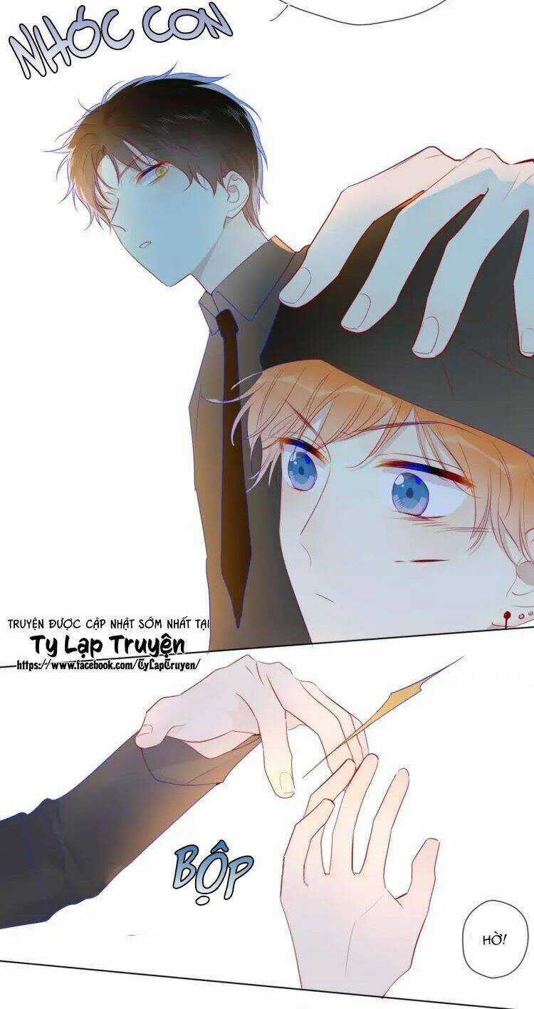 Ngôi Sao Cho Tôi Chapter 30 trang 4