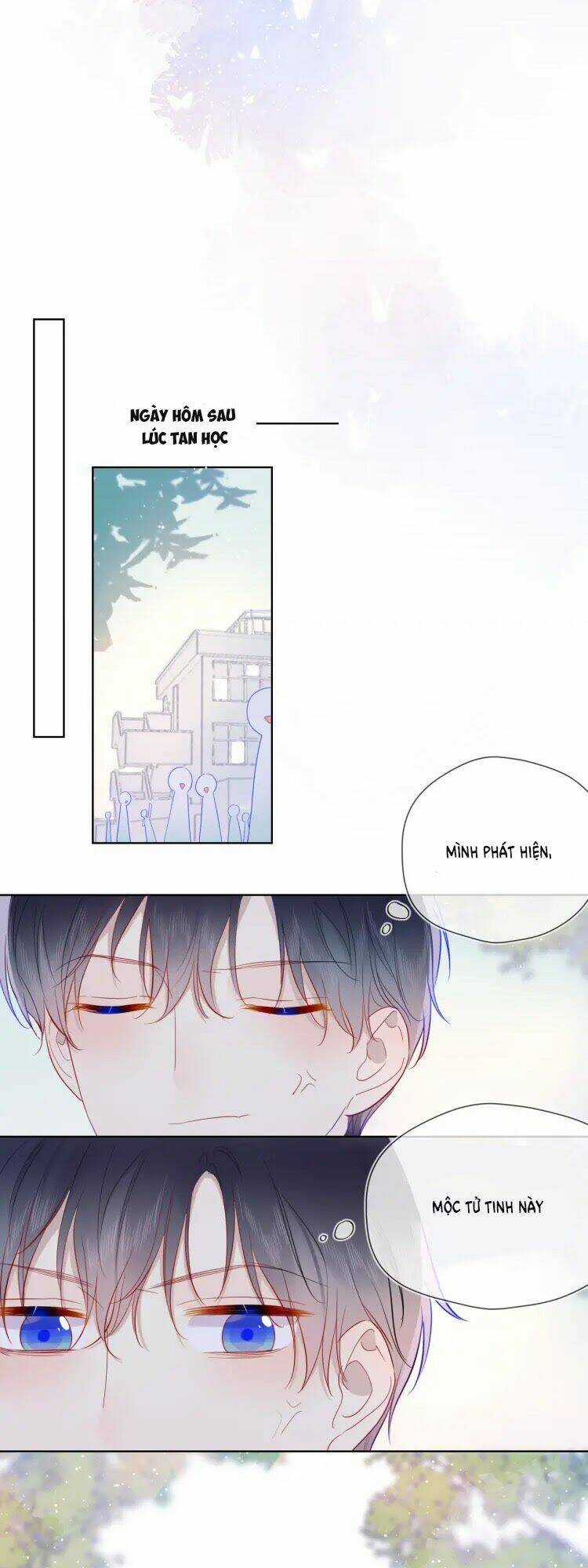 Ngôi Sao Cho Tôi Chapter 33 trang 18