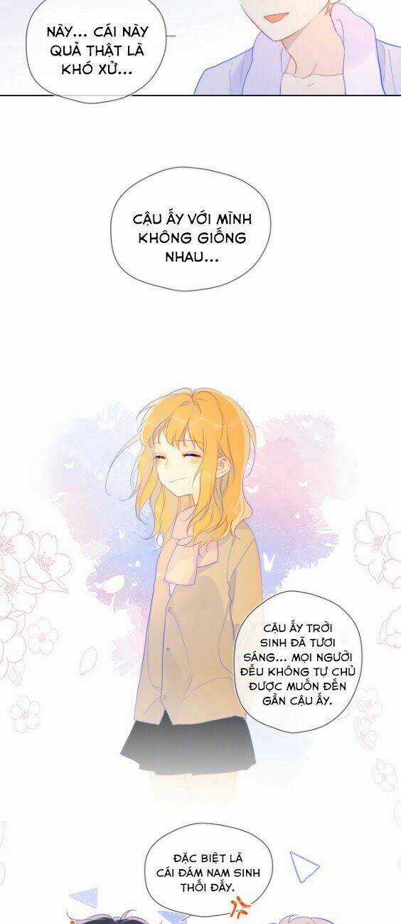 Ngôi Sao Cho Tôi Chapter 37 trang 14