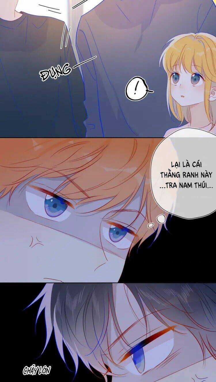 Ngôi Sao Cho Tôi Chapter 39 trang 15