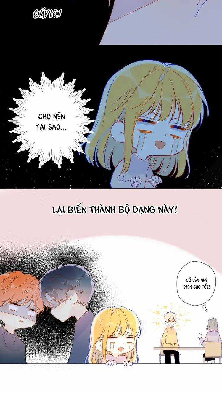 Ngôi Sao Cho Tôi Chapter 39 trang 16