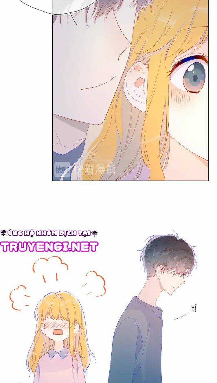 Ngôi Sao Cho Tôi Chapter 41 trang 15