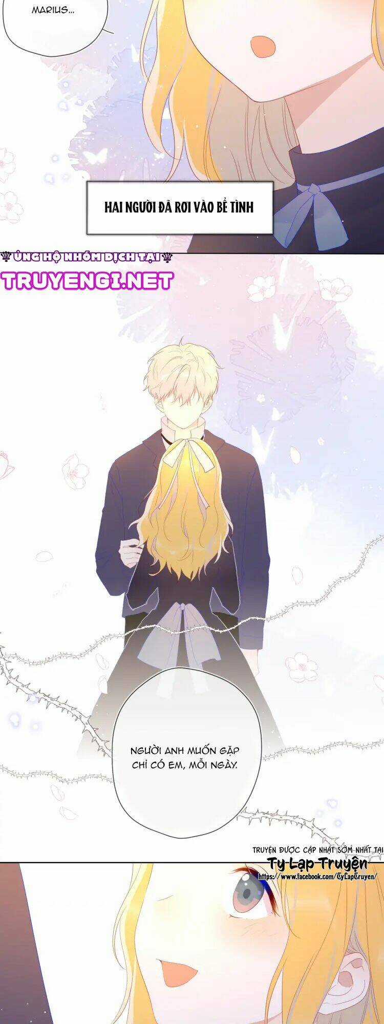 Ngôi Sao Cho Tôi Chapter 43 trang 17