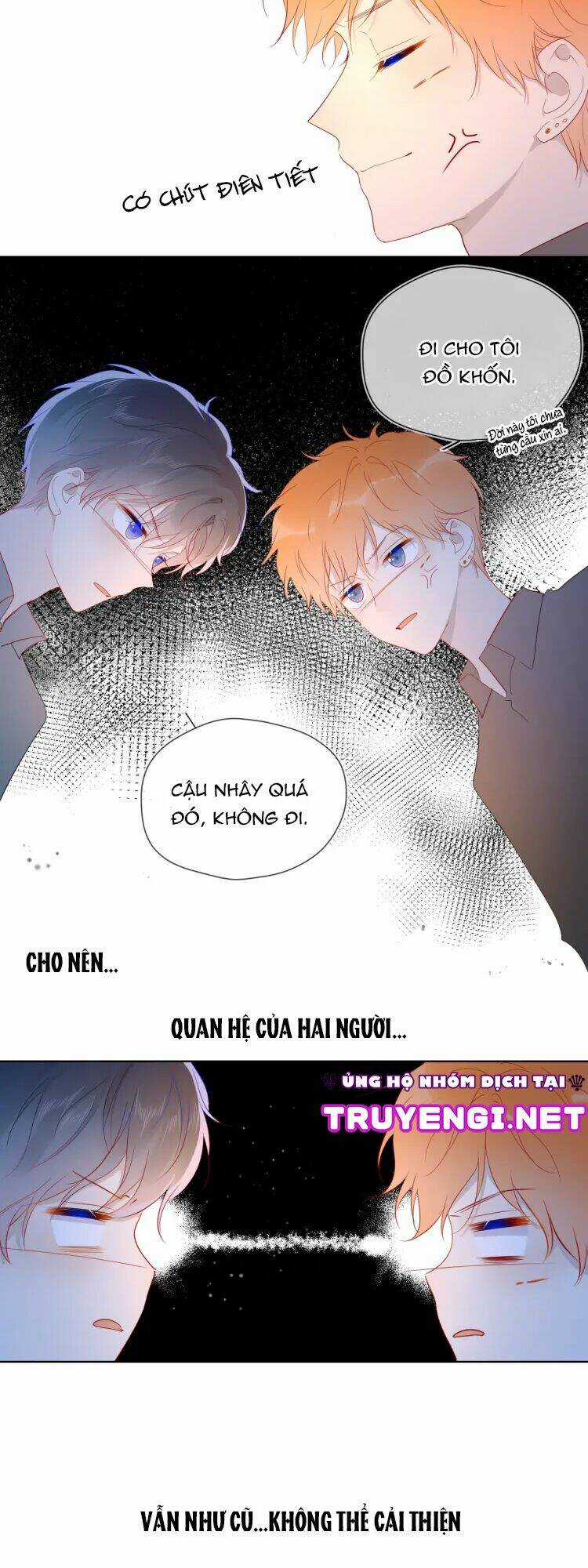 Ngôi Sao Cho Tôi Chapter 45 trang 20