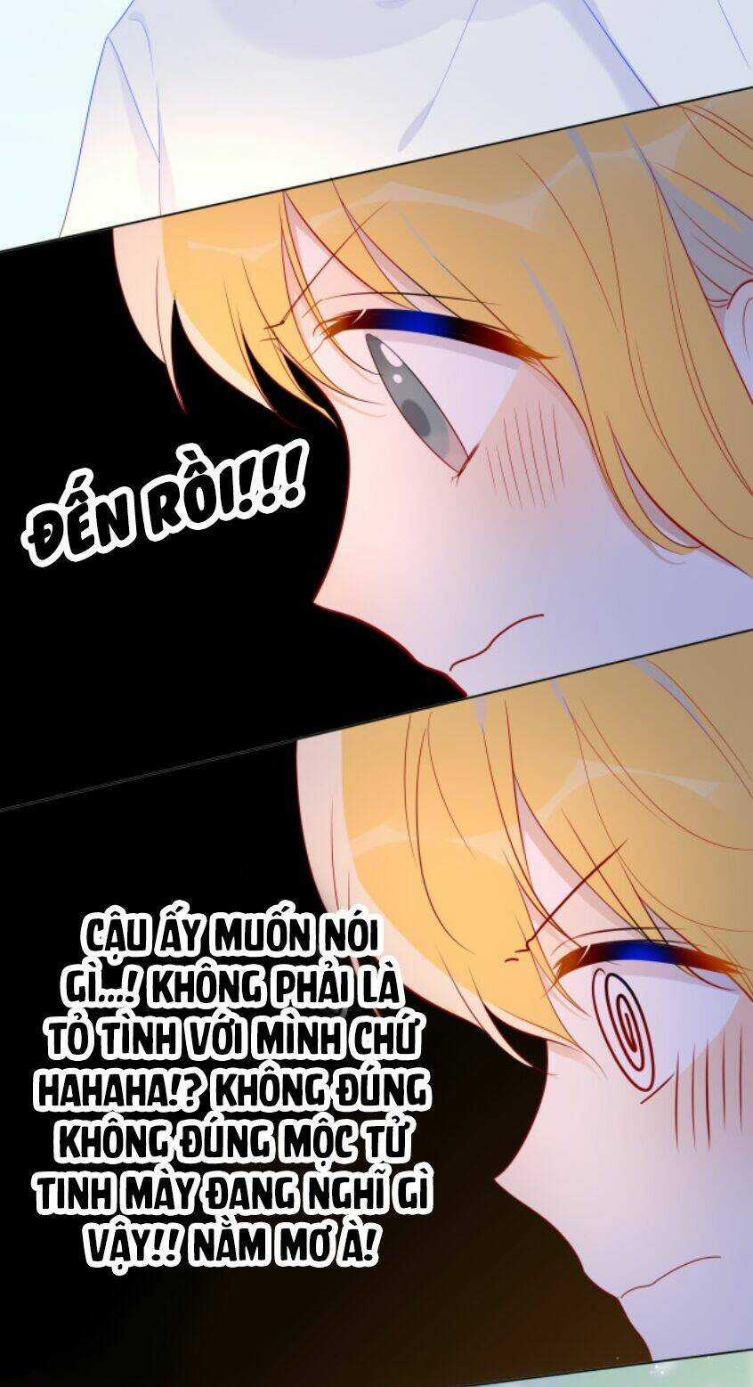 Ngôi Sao Cho Tôi Chapter 46 trang 15