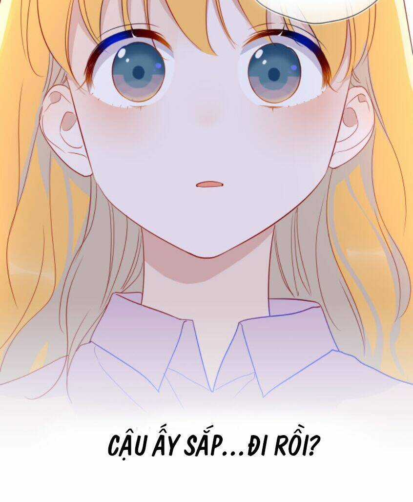 Ngôi Sao Cho Tôi Chapter 46 trang 26