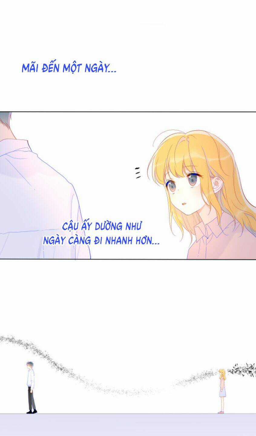 Ngôi Sao Cho Tôi Chapter 47 trang 5