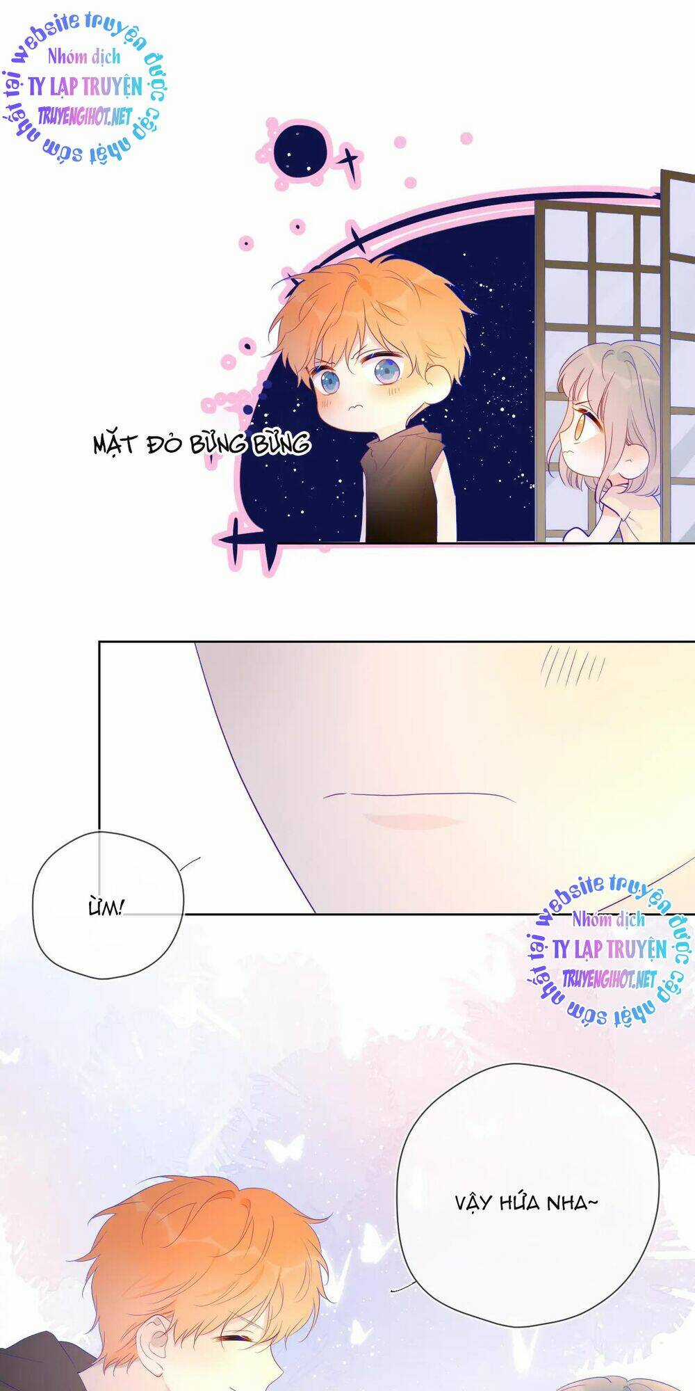 Ngôi Sao Cho Tôi Chapter 52 trang 25