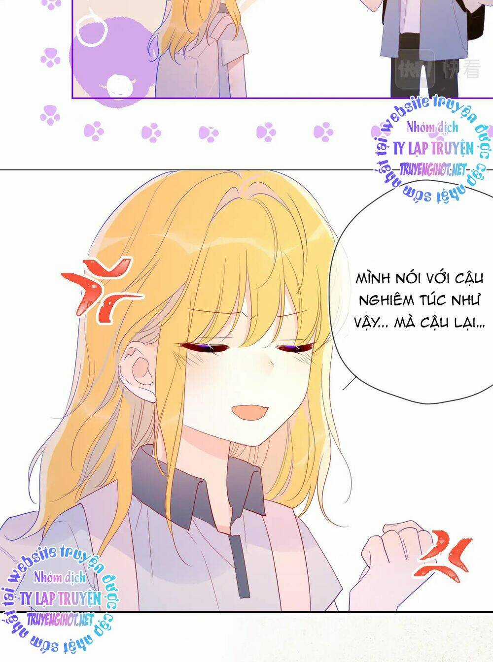 Ngôi Sao Cho Tôi Chapter 54 trang 11