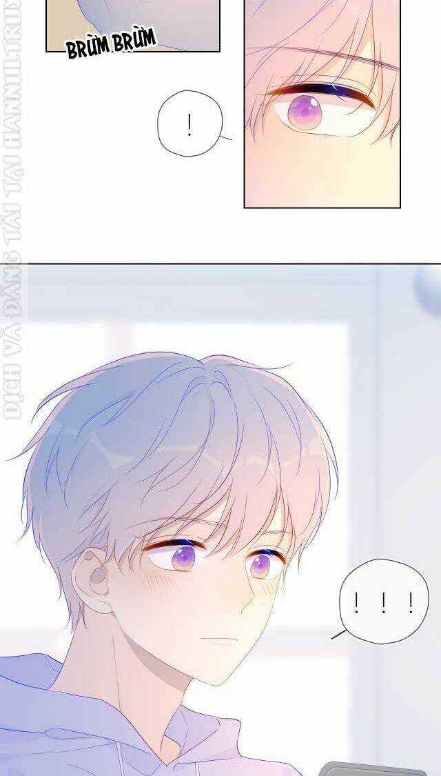 Ngôi Sao Cho Tôi Chapter 57 trang 11