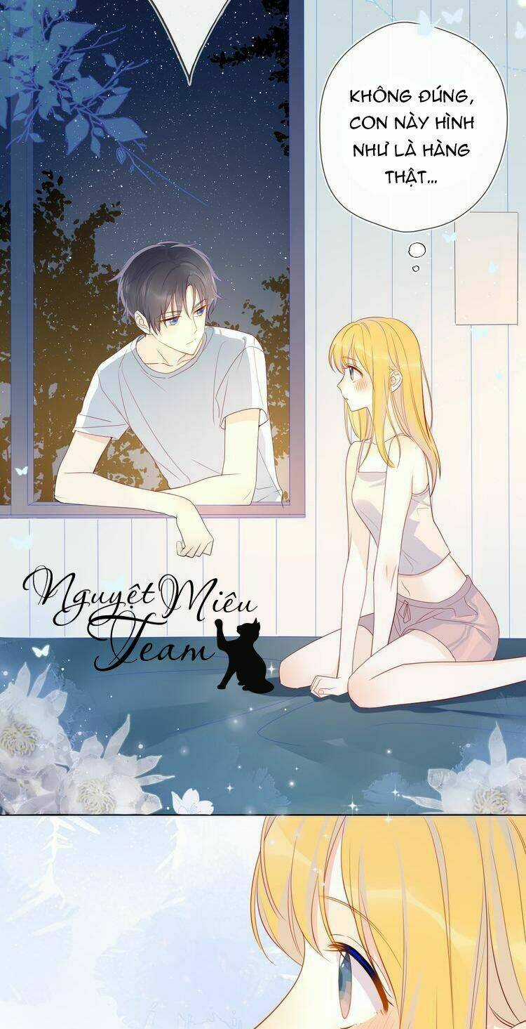 Ngôi Sao Cho Tôi Chapter 6 trang 12