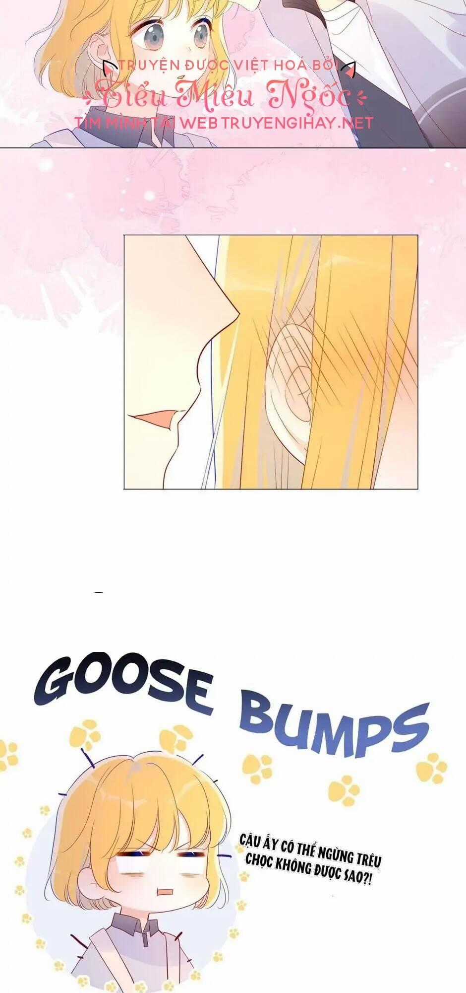 Ngôi Sao Cho Tôi Chapter 62 trang 25