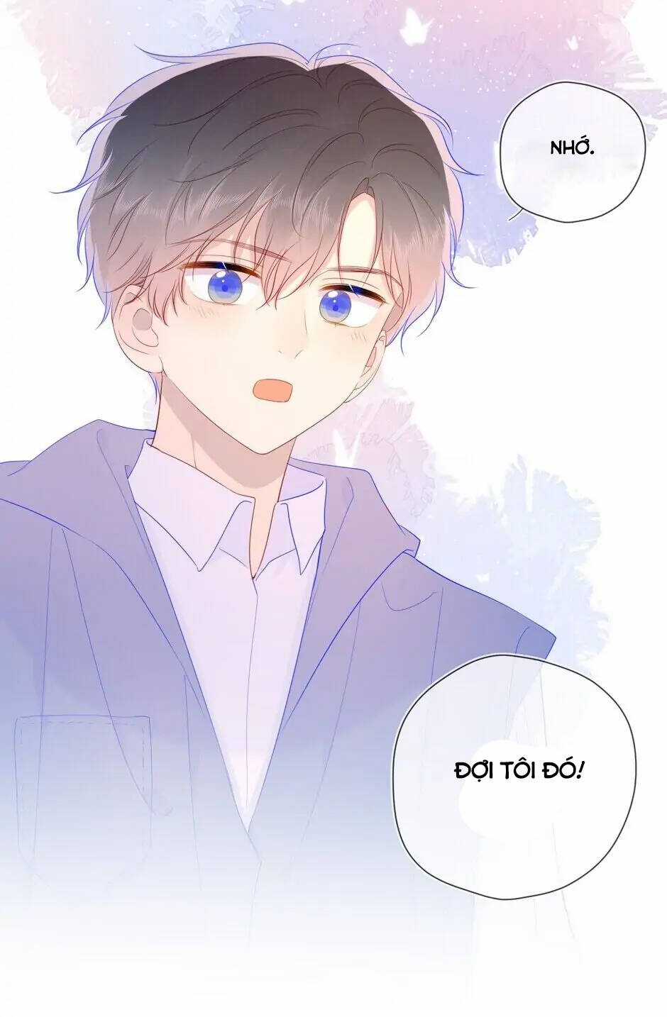 Ngôi Sao Cho Tôi Chapter 65 trang 24