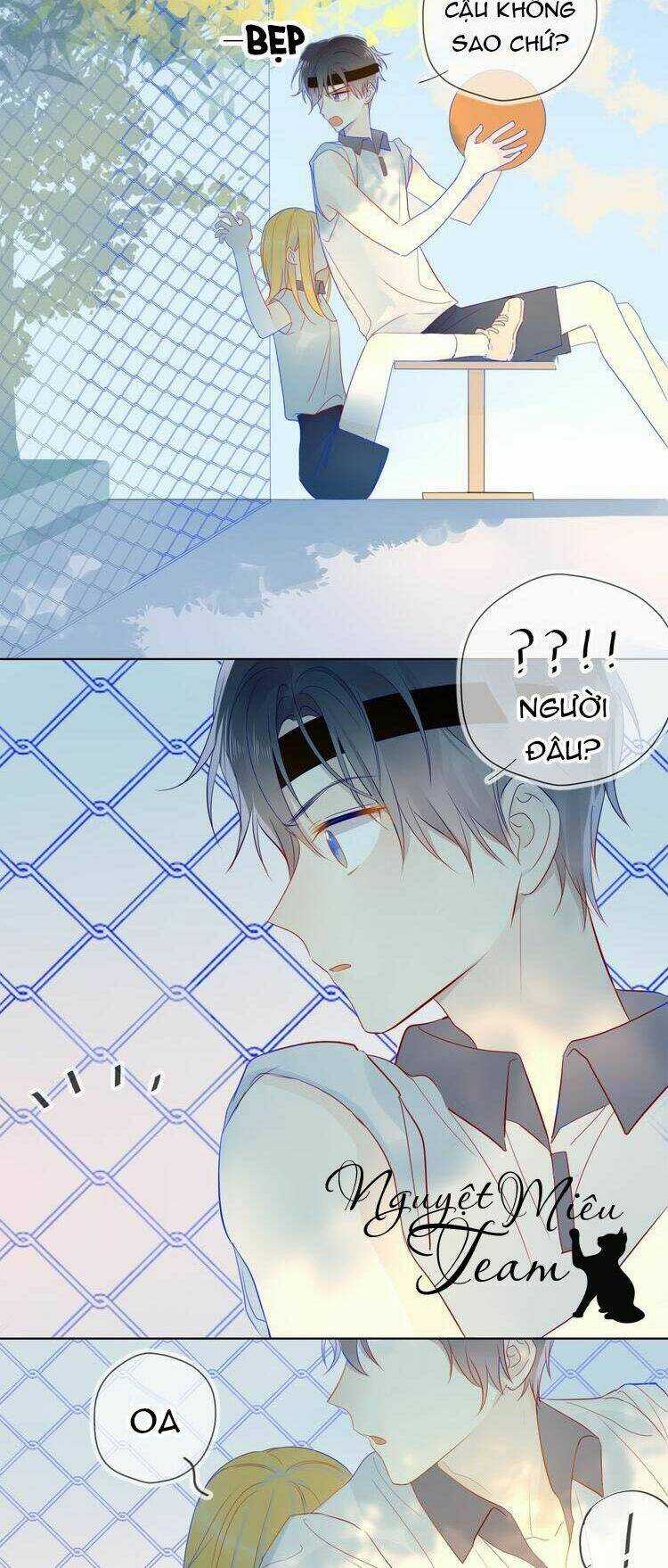 Ngôi Sao Cho Tôi Chapter 7 trang 17