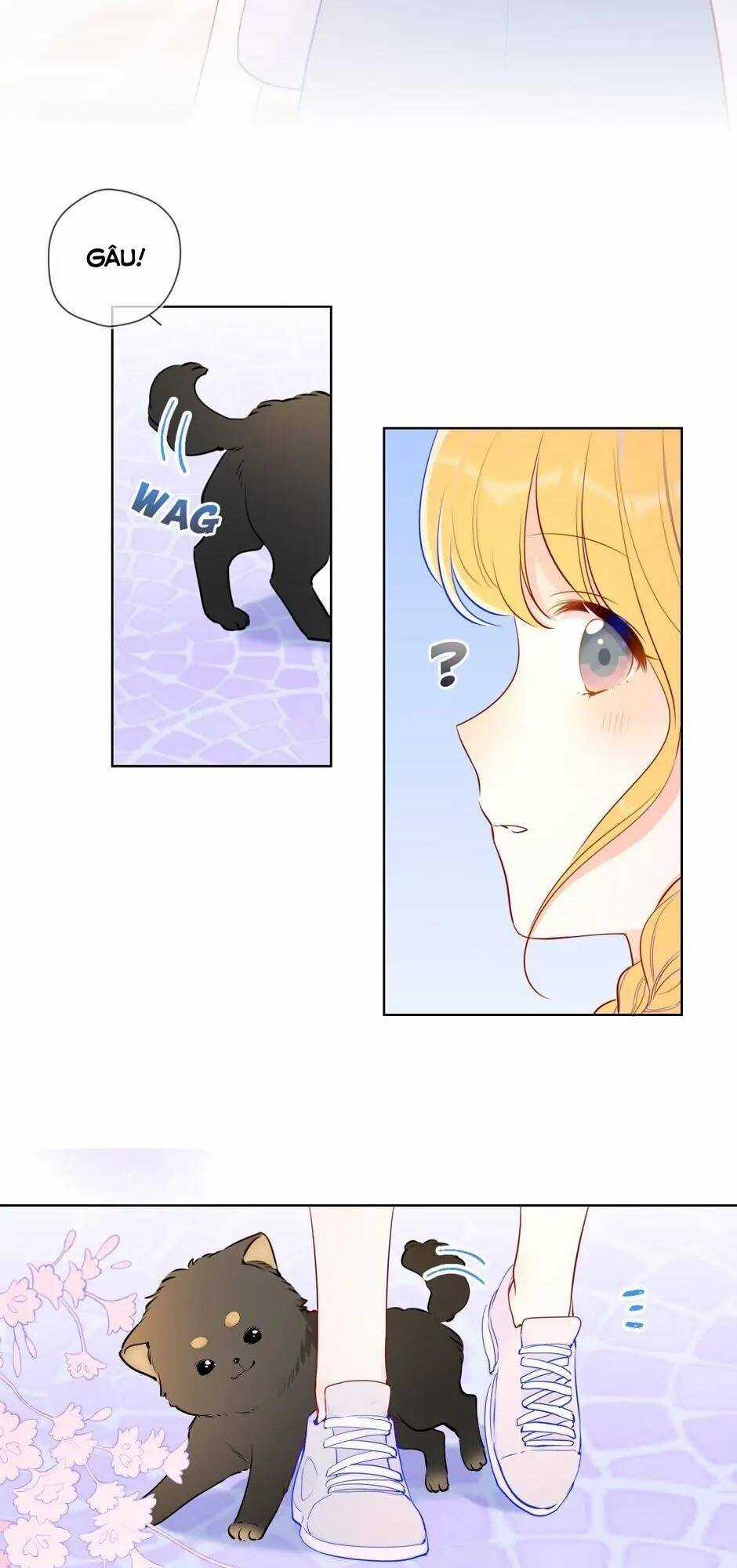 Ngôi Sao Cho Tôi Chapter 78 trang 10