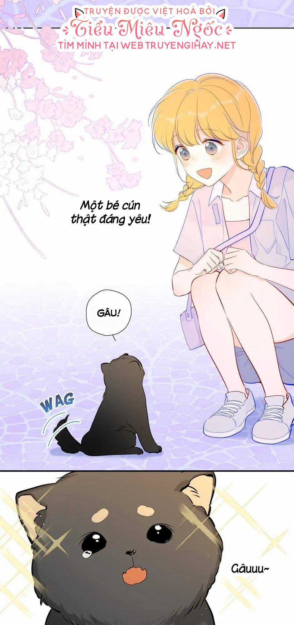 Ngôi Sao Cho Tôi Chapter 78 trang 11