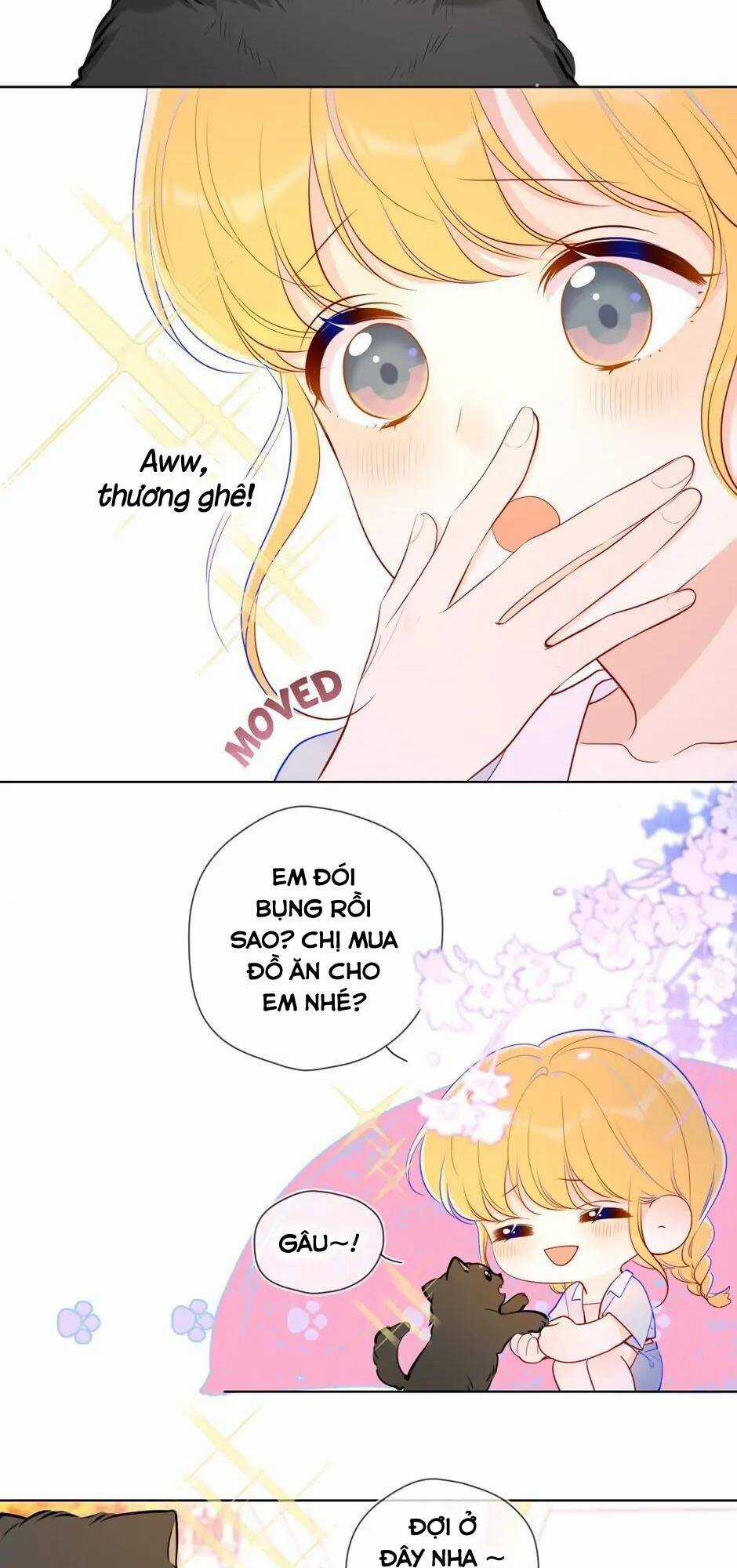 Ngôi Sao Cho Tôi Chapter 78 trang 12