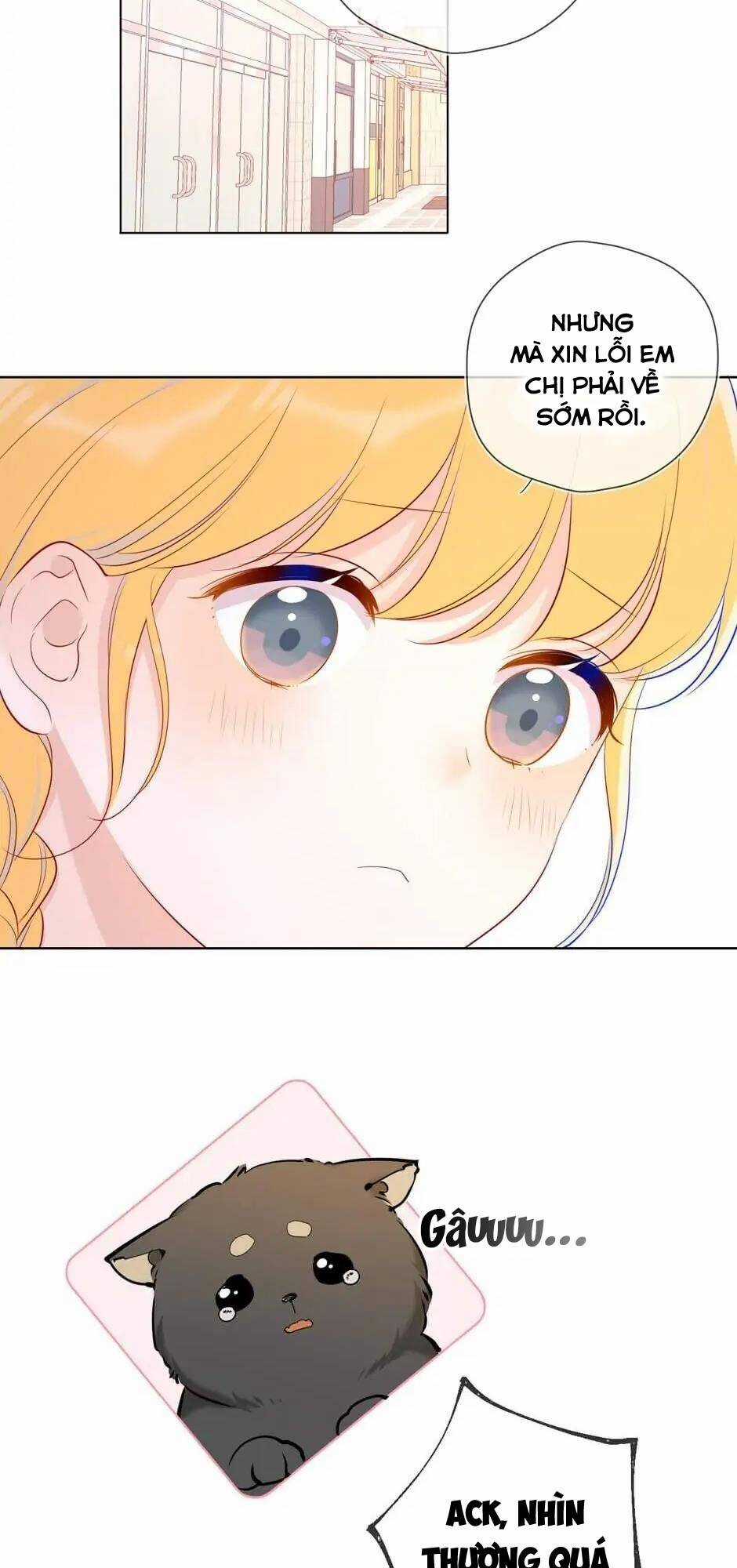 Ngôi Sao Cho Tôi Chapter 78 trang 22