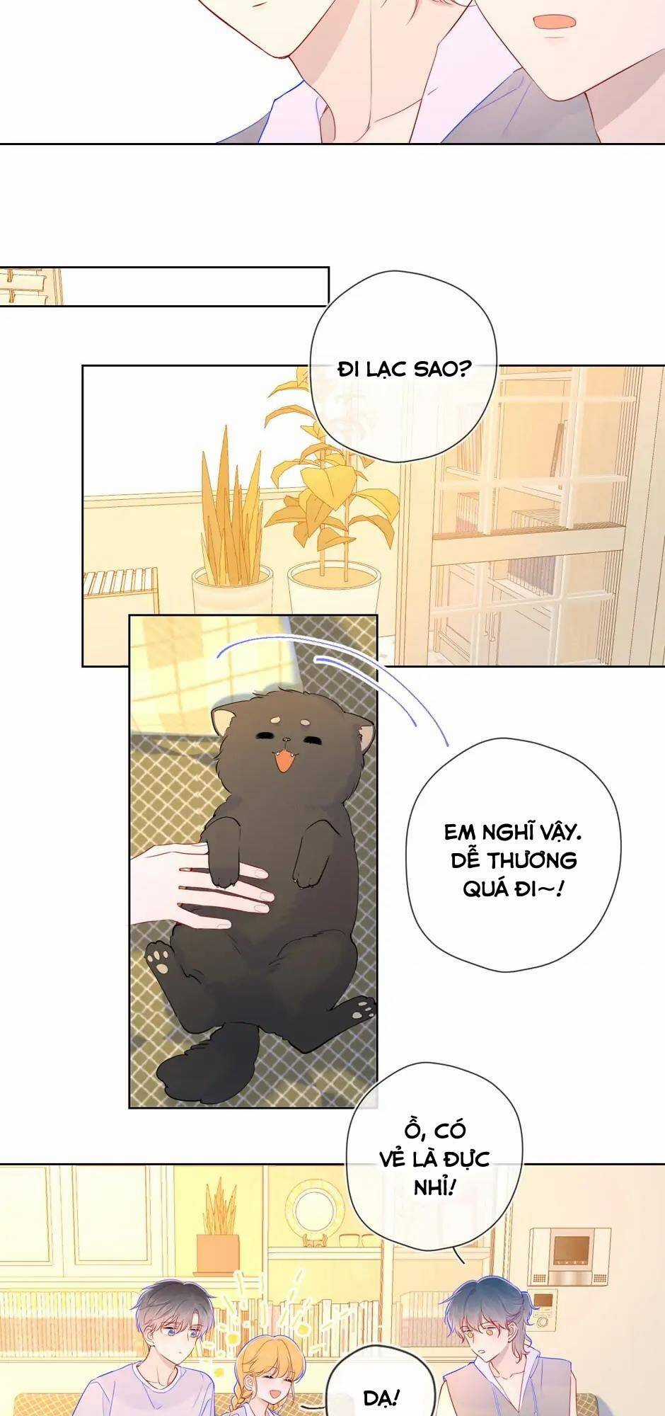 Ngôi Sao Cho Tôi Chapter 79 trang 13