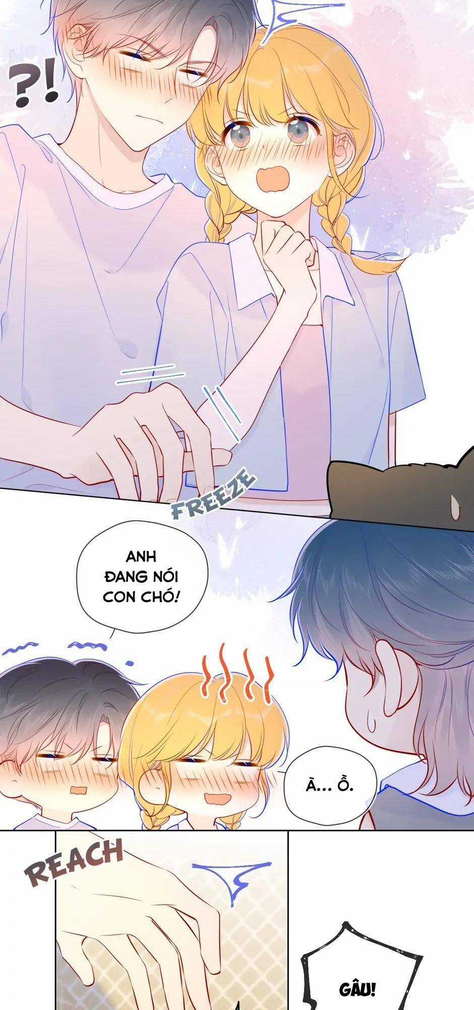 Ngôi Sao Cho Tôi Chapter 79 trang 15