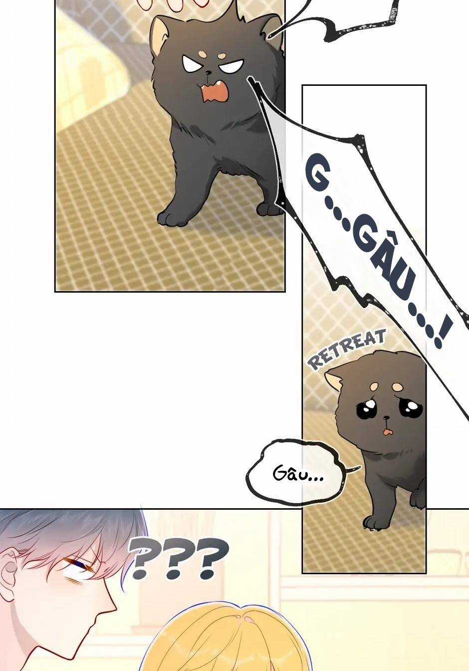 Ngôi Sao Cho Tôi Chapter 79 trang 16