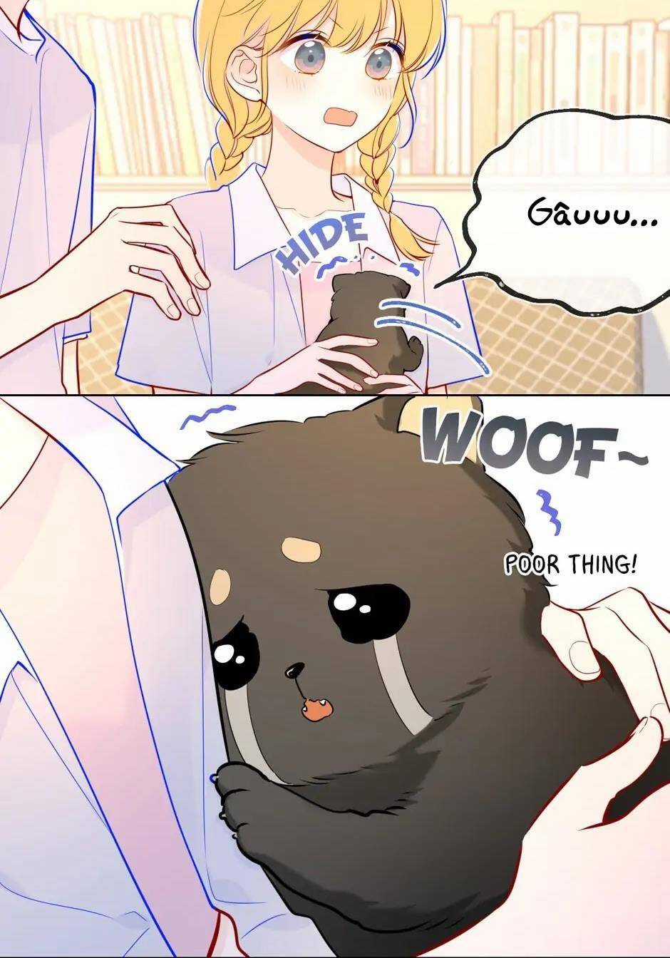 Ngôi Sao Cho Tôi Chapter 79 trang 17