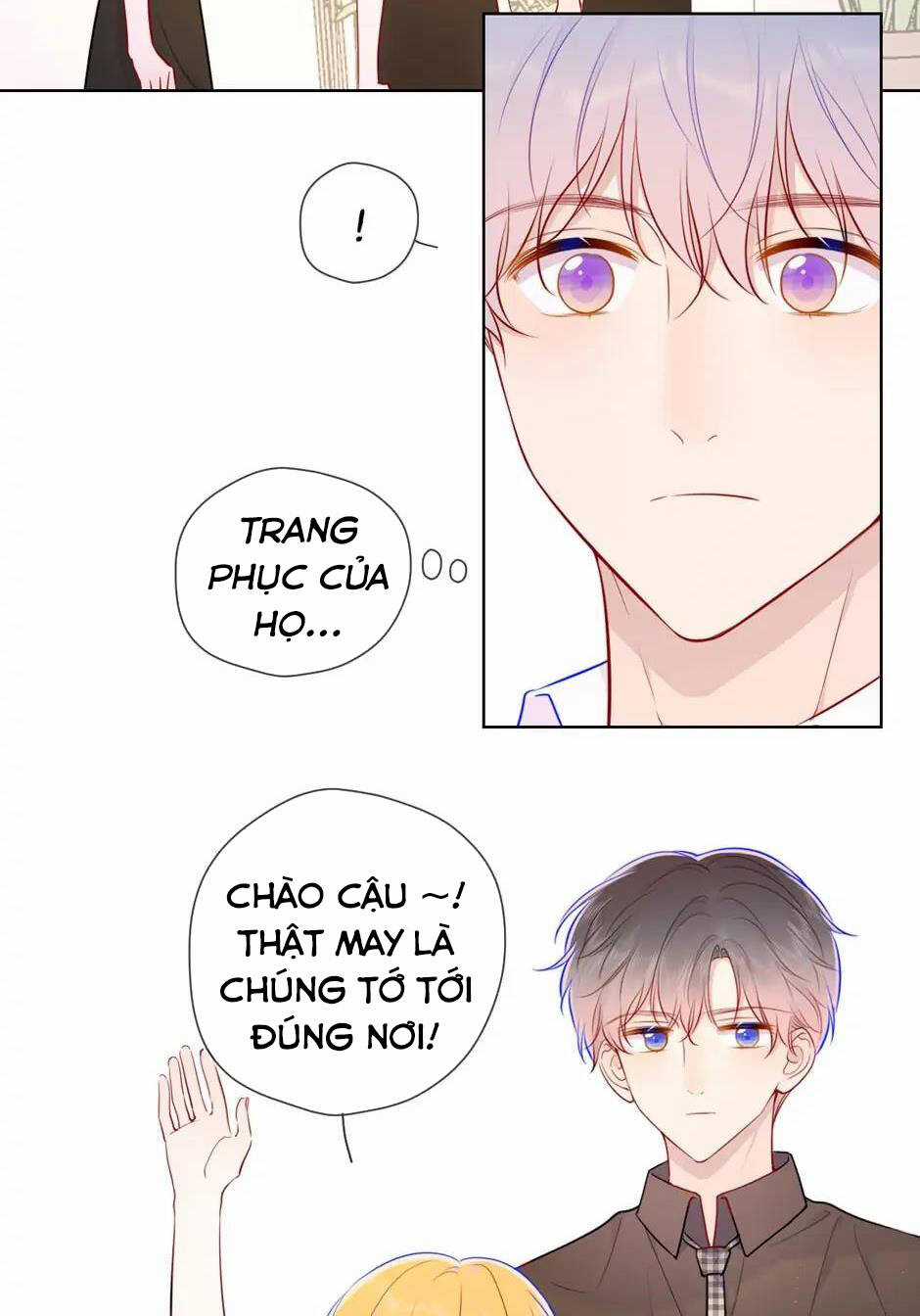 Ngôi Sao Cho Tôi Chapter 83 trang 15