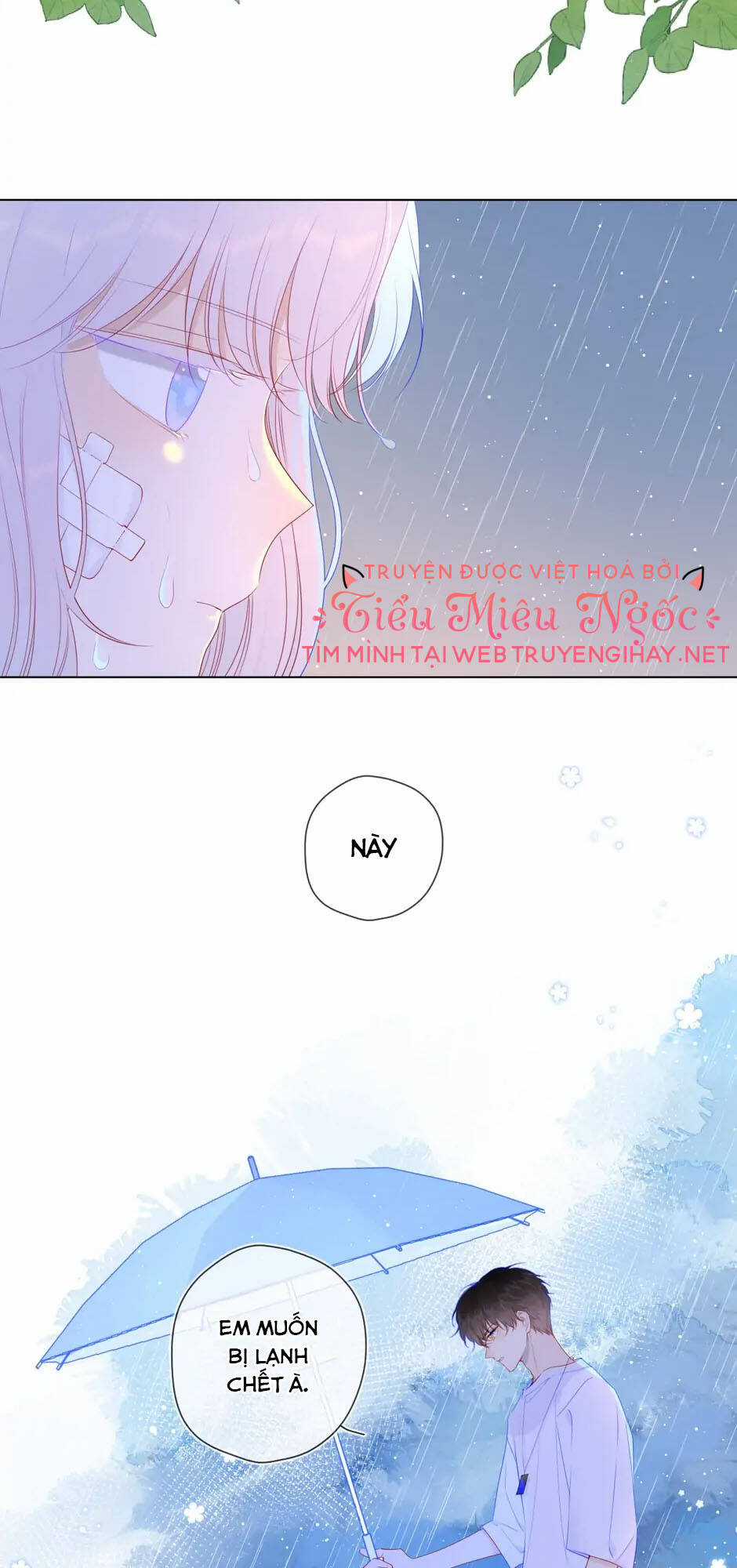 Ngôi Sao Cho Tôi Chapter 94 trang 1
