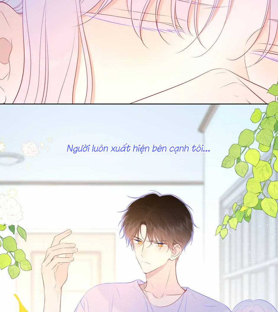 Ngôi Sao Cho Tôi Chapter 94 trang 30