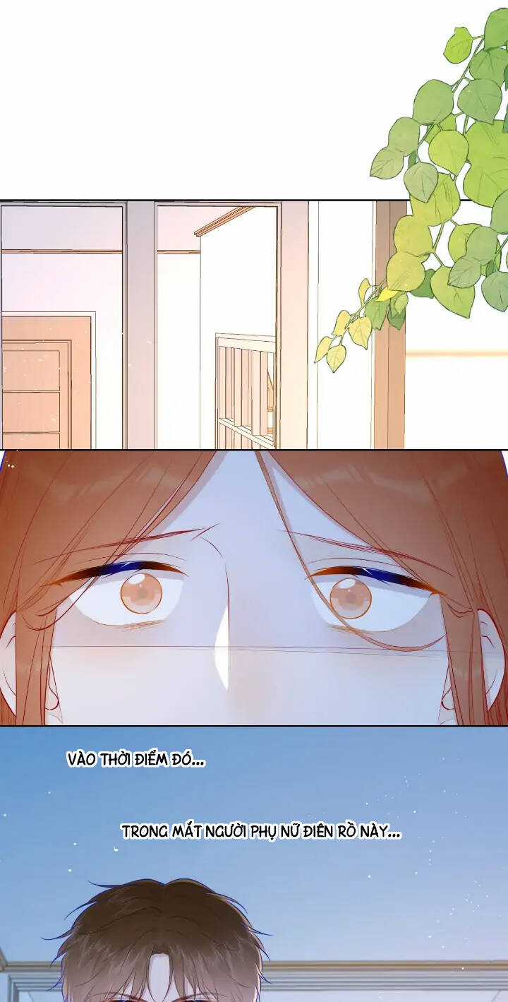 Ngôi Sao Cho Tôi Chapter 95 trang 1