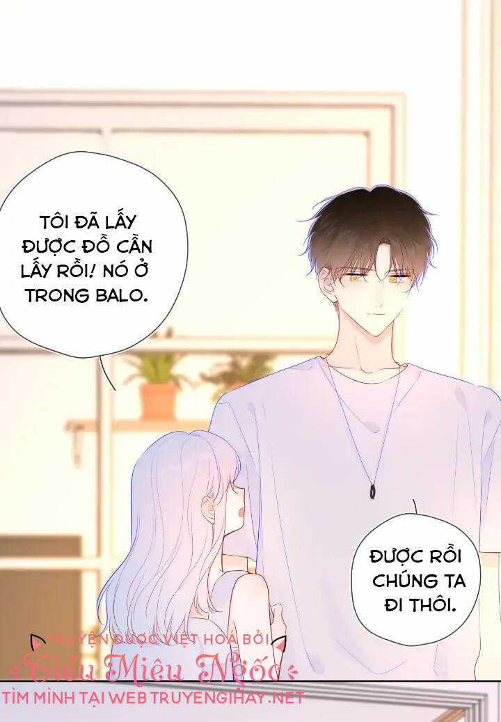 Ngôi Sao Cho Tôi Chapter 95 trang 13