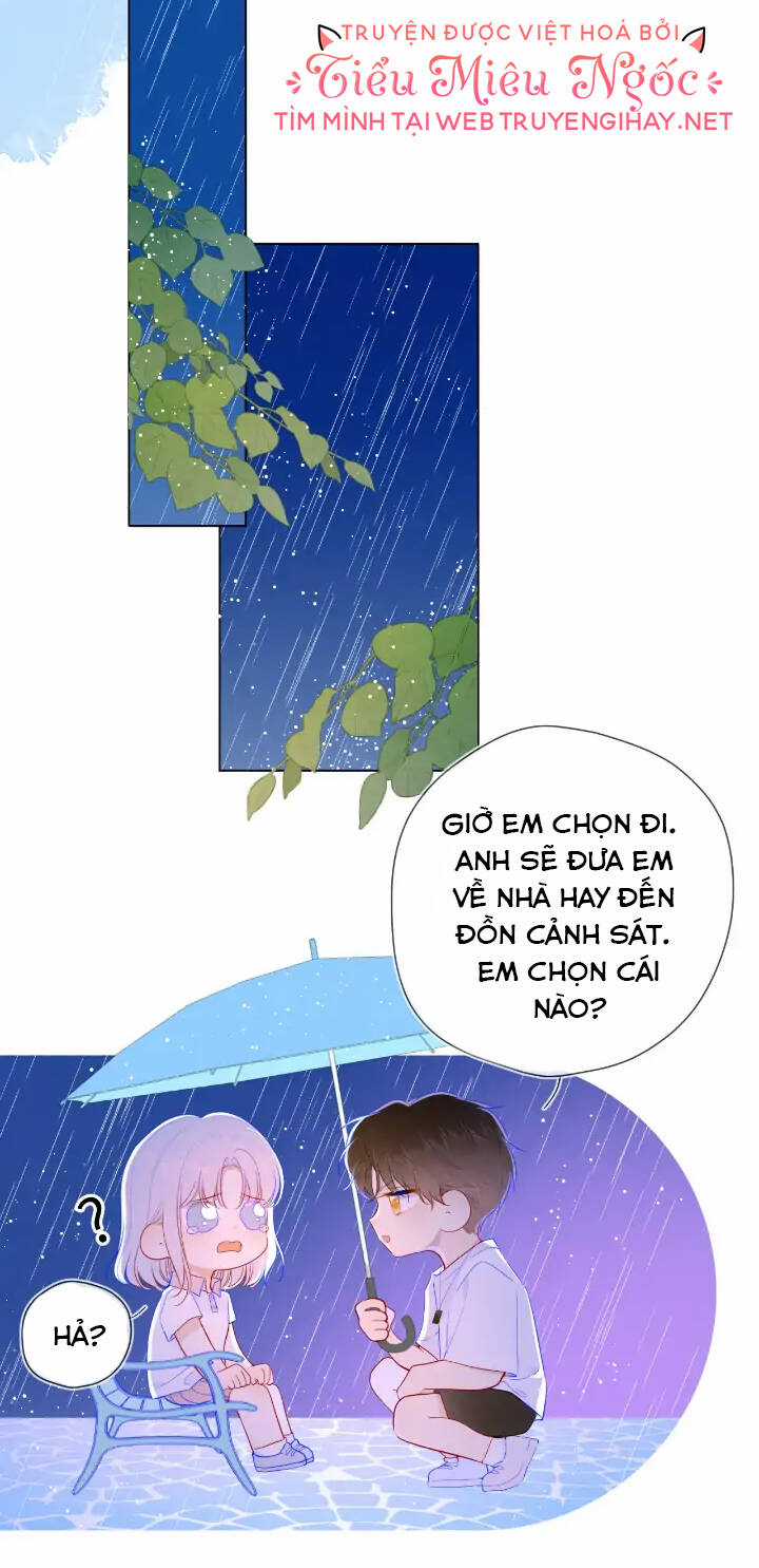 Ngôi Sao Cho Tôi Chapter 95 trang 20