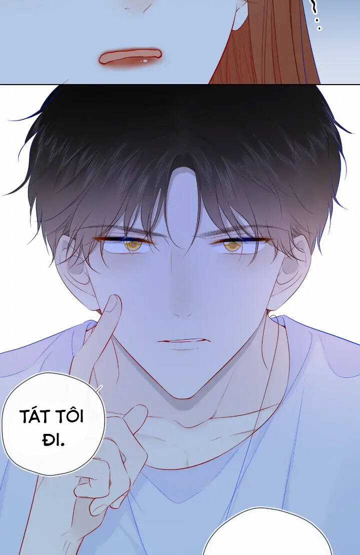 Ngôi Sao Cho Tôi Chapter 95 trang 4