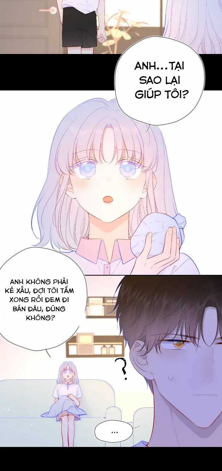 Ngôi Sao Cho Tôi Chapter 96 trang 10