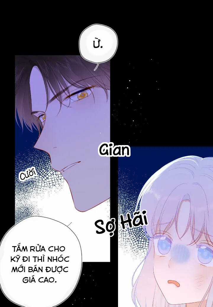Ngôi Sao Cho Tôi Chapter 96 trang 11