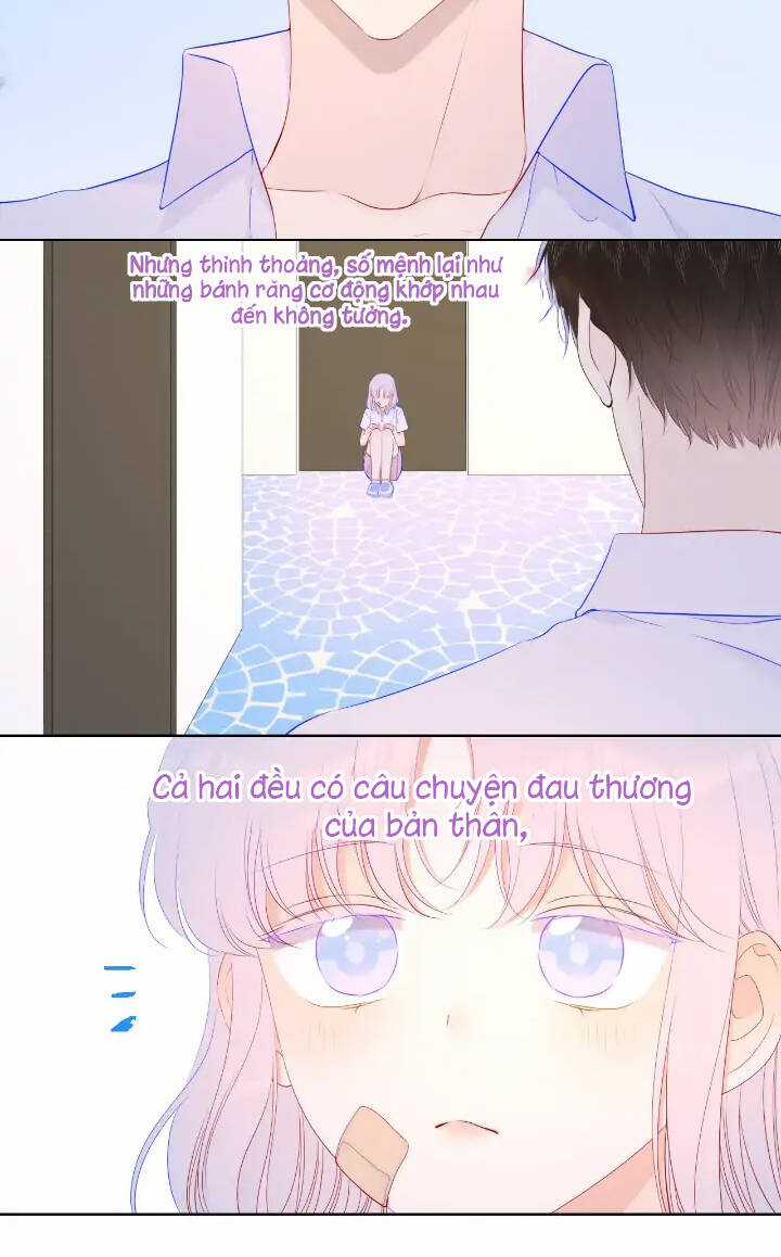 Ngôi Sao Cho Tôi Chapter 96 trang 24