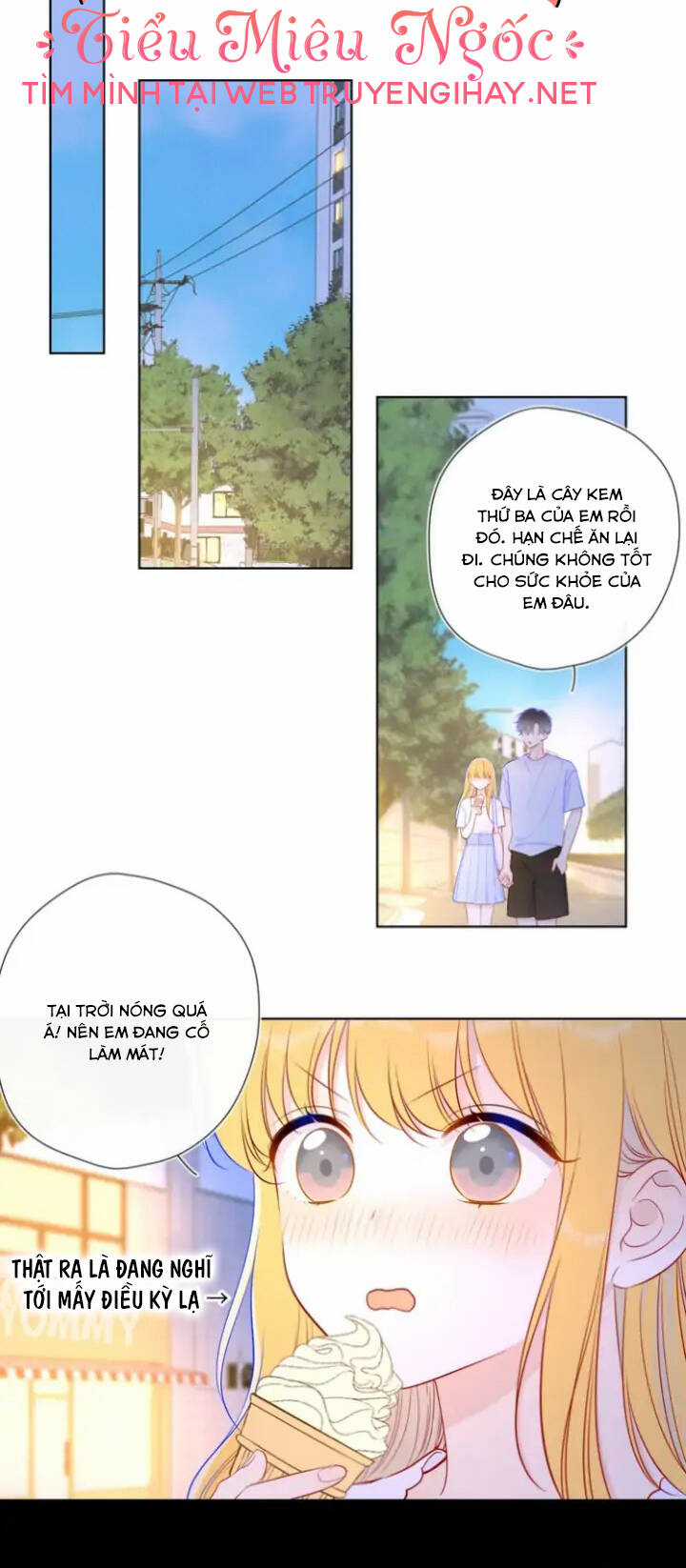 Ngôi Sao Cho Tôi Chapter 97 trang 11