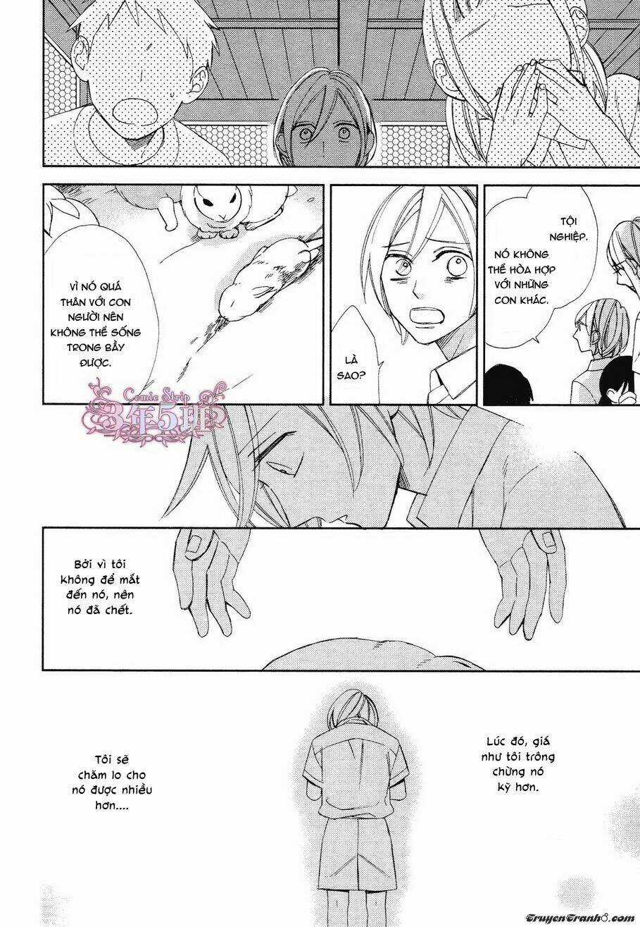 Ngôi Trường Hà Khắc Chapter 9 trang 5