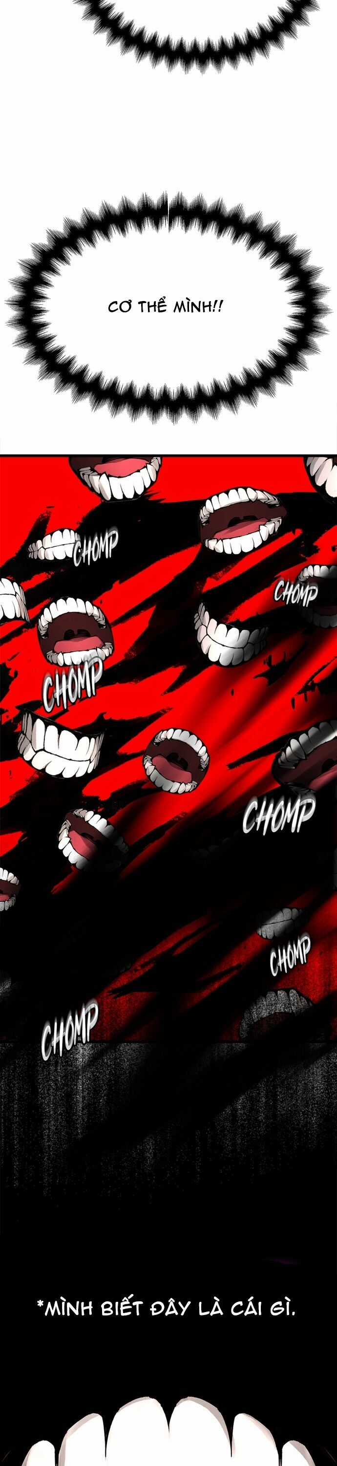 Ngọn Lửa Của Hòa Bình Chương 18 trang 29