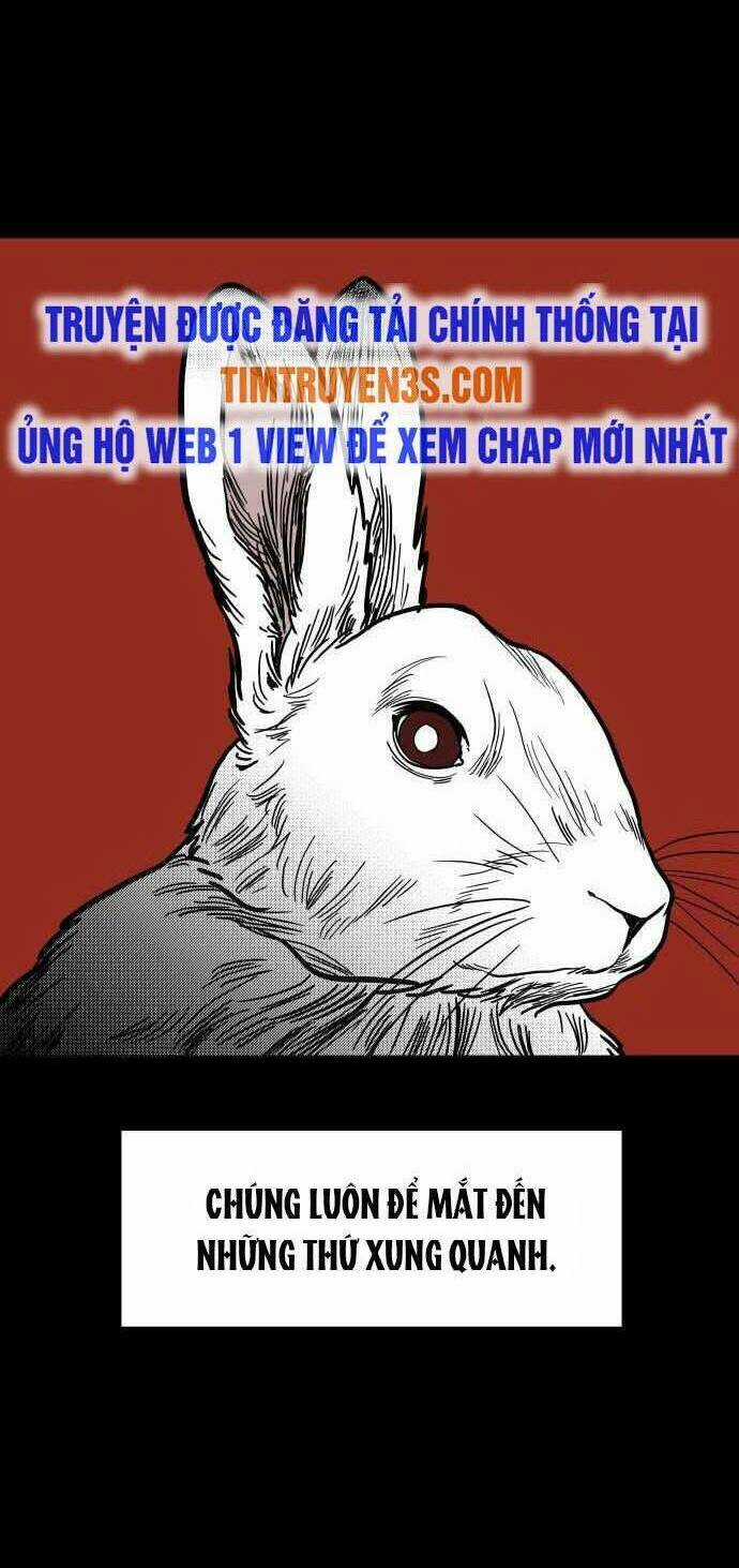 Ngọn Lửa Xanh Chapter 48 trang 7