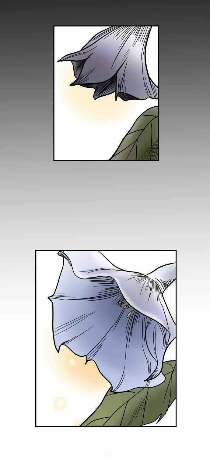 Ngọn Lửa Xanh Chapter 53 trang 70