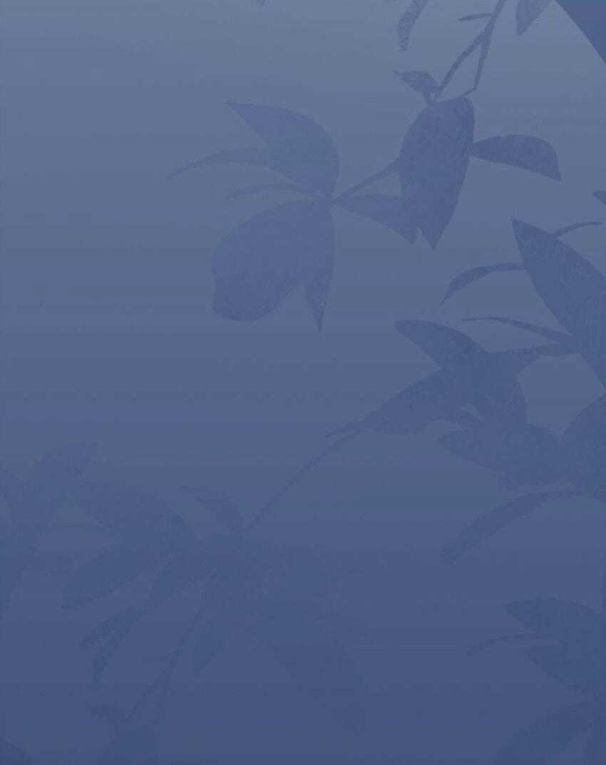 Ngôn Tiếu Loan Loan Chapter 5 trang 43