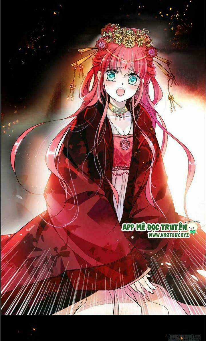 Ngọt Ngào Uy Vũ: Boss Sủng Đến Nghiện Chapter 1 trang 4