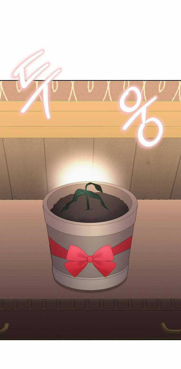 Ngũ Đại Đồ Đệ Của Charlotte Chapter 200.2 trang 11